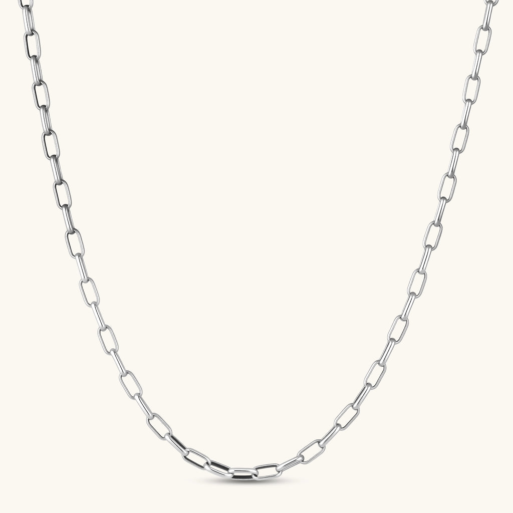 Paperclip Chain Necklace | 3EyeJewEls