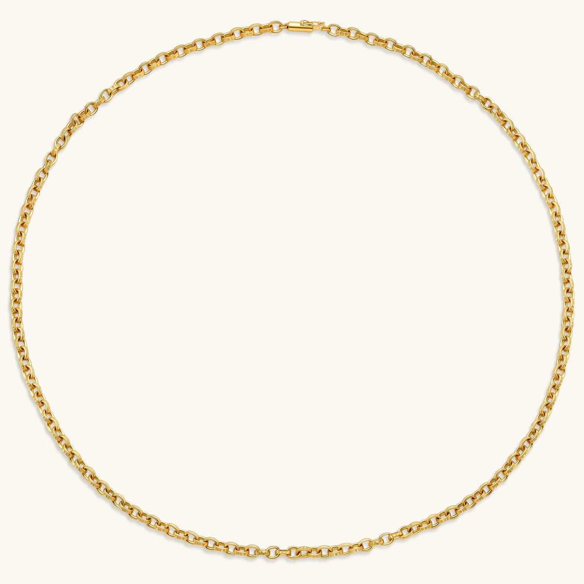 Bold Link Chain Necklace | 3EyeJewEls